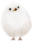 kikkapink deco bird winter white - PNG gratuit GIF animé