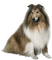 Kaz_Creations Dogs Dog Pup 🐶 - бесплатно png анимированный гифка