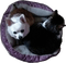 Tink the dog and Spot the cat - gratis png animeret GIF