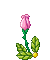 Pink Rose - Bezmaksas animēts GIF animēts GIF