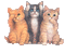 cats - 無料のアニメーション GIF アニメーションGIF