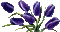 fleurs ( - Free animated GIF Animated GIF