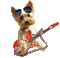 dog wearing glasses bp - Animovaný GIF zadarmo animovaný GIF