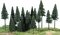 Wald - nemokama png animuotas GIF