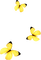 papillon jaune.Cheyenne63 - ilmainen png animoitu GIF