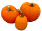 pumpkins halloween pumpkin orange kikkapink - фрее пнг анимирани ГИФ