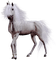 unicorn by nataliplus - gratis png geanimeerde GIF