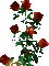 multicolore image encre animé effet scintillant barre briller fleurs roses coin brille spring printemps edited by me - GIF animé gratuit GIF animé