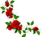 roses corner - Zdarma animovaný GIF
