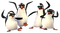 pingwiny z madagaskaru - Nemokamas animacinis gif