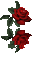 Rose - Безплатен анимиран GIF анимиран GIF