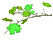 Деревья - Nemokamas animacinis gif animuotas GIF