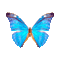 papillon bleu BLUE BUTTERFLY GIF