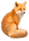 Kaz_Creations Animals Animal Fox - nemokama png animuotas GIF