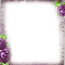 Purple Roses Frame - By KittyKatLuv65 - Free PNG Animated GIF