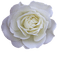 ruža - zadarmo png animovaný GIF