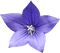 dolceluna blue flower - png grátis Gif Animado