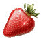 Erdbeere - GIF animé gratuit GIF animé