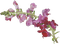 Kaz_Creations Deco Flowers Colours - ücretsiz png animasyonlu GIF