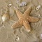 fond beach sea - Free PNG Animated GIF