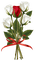 Flowers white bp - bezmaksas png animēts GIF