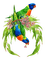 Australia birds bp - png gratuito GIF animata