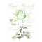 kikkapink deco scrap vintage rose carte - PNG gratuit GIF animé