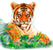 Y.A.M._Animals tiger - ilmainen png animoitu GIF