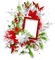 Christmas.Winter.Deco.Green.White.Red - gratis png animeret GIF