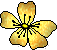 flower-ani