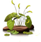 Plante - bezmaksas png animēts GIF
