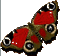 red butterfly - Gratis geanimeerde GIF geanimeerde GIF