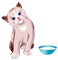 Kaz_Creations Cats Cat Kittens Kitten - bezmaksas png animēts GIF