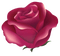 purple rose - png gratis GIF animado