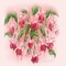 kikkapink spring flowers fond pink - png gratis GIF animado