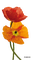Flowers dm19 - ingyenes png animált GIF