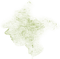 green overlay - zadarmo png animovaný GIF
