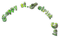 SOAVE text ST.PATRICK  GREEN - 免费PNG 动画 GIF