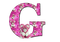 Kaz_Creations Alphabets Pink Teddy Letter G - PNG gratuit GIF animé