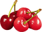 fruit cherries bp - PNG gratuit GIF animé