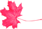 Leaf.Pink - png gratuito GIF animata