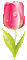 Tulip - Nemokamas animacinis gif animuotas GIF