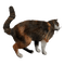 Kaz_Creations Cats Kittens Cat Kitten - бесплатно png анимированный гифка