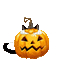 Halloween.Cat.Pumpkin.gif.Victoriabea - GIF animé gratuit GIF animé
