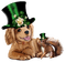 Chien Ècureuil St-Patrick:) - Free PNG Animated GIF