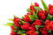 Квіти - PNG gratuit GIF animé