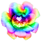 Flower.Rainbow - nemokama png animuotas GIF