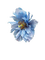 fleur bleue - PNG gratuit GIF animé