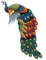 Peacock.Bird.Paon.Victoriabea - png gratuito GIF animata