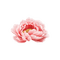 kikkapink deco scrap pink flower - PNG gratuit GIF animé
